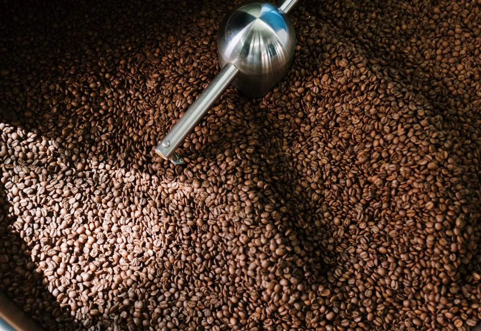 Roasted beans heaped in the cooling tray of a roaster