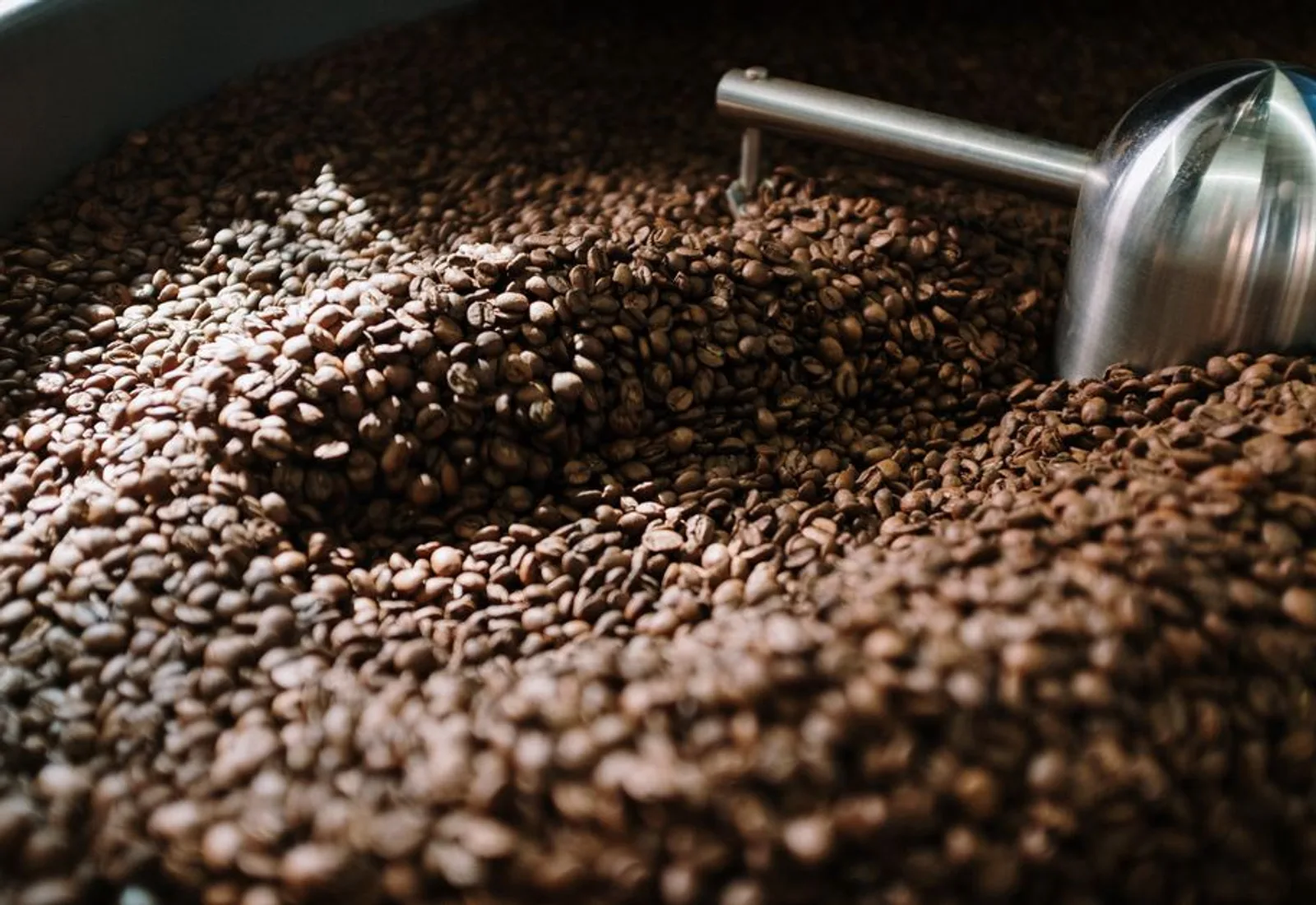 A deep bed of dark roasted beans, close and low-lit