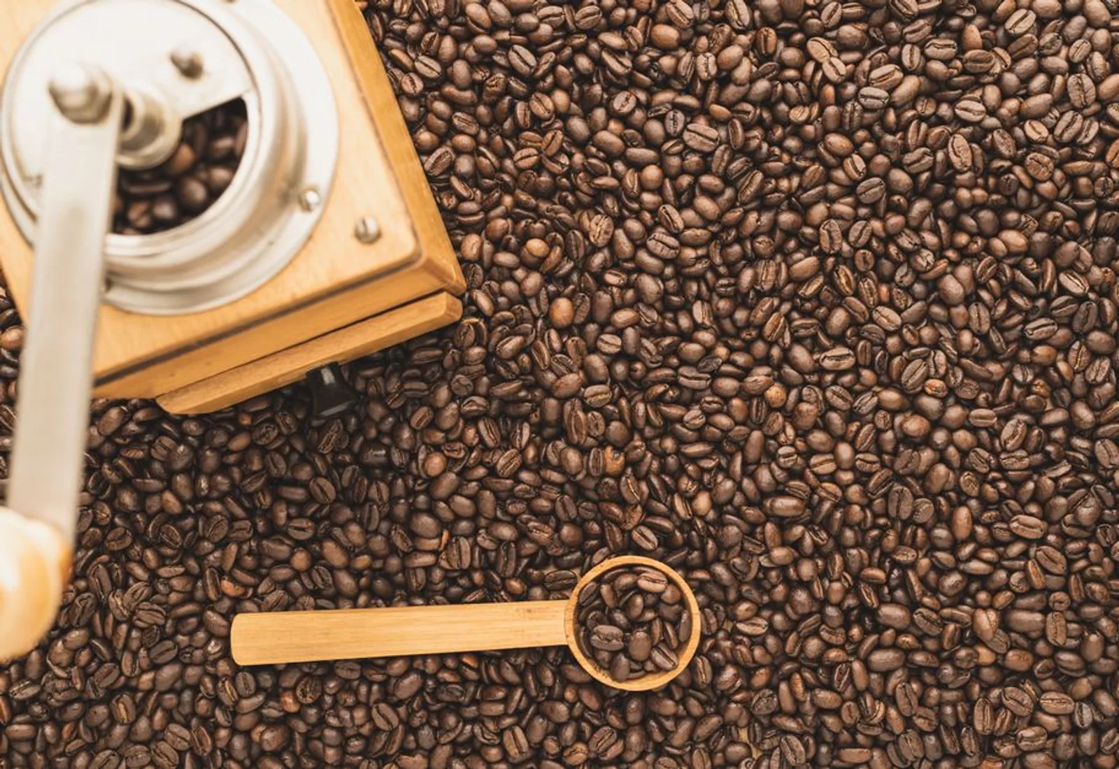 Dark whole beans spread beside a wooden grinder